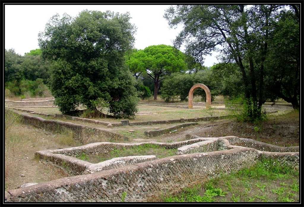 La Pineta di Castelfusano, la Via Severiana e la Villa di Plinio